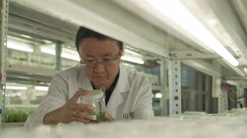 微信图片_20201104100125 微信图片_20201104100125